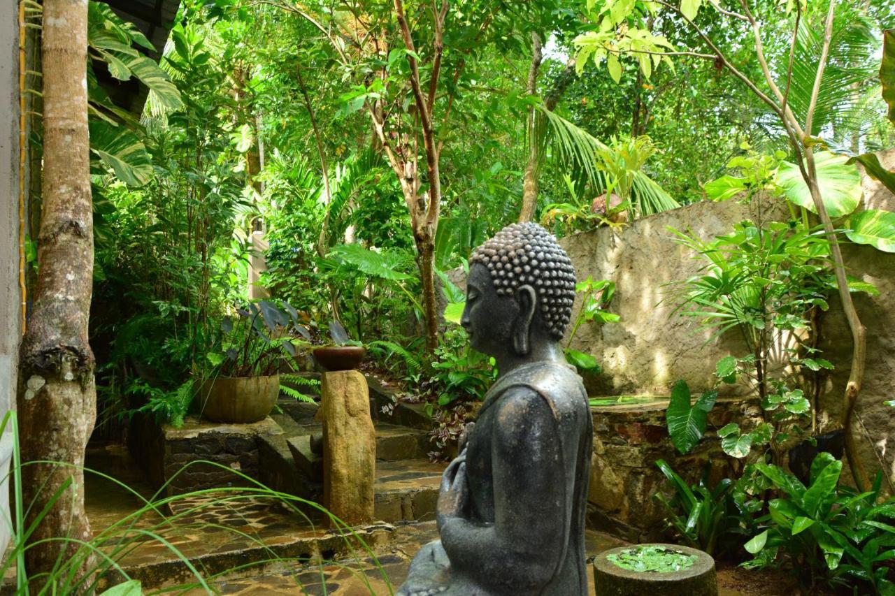 טנגלה View Guesthouse & Bistro At Goyambokka מראה חיצוני תמונה
