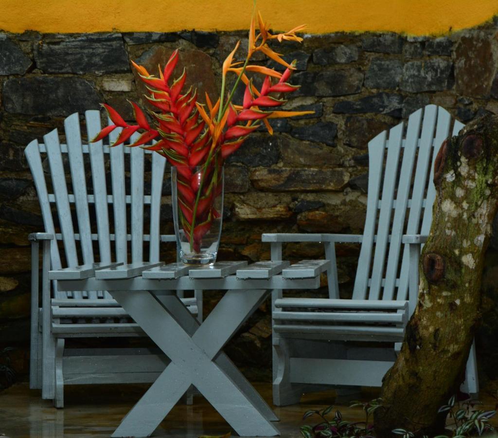 טנגלה View Guesthouse & Bistro At Goyambokka מראה חיצוני תמונה