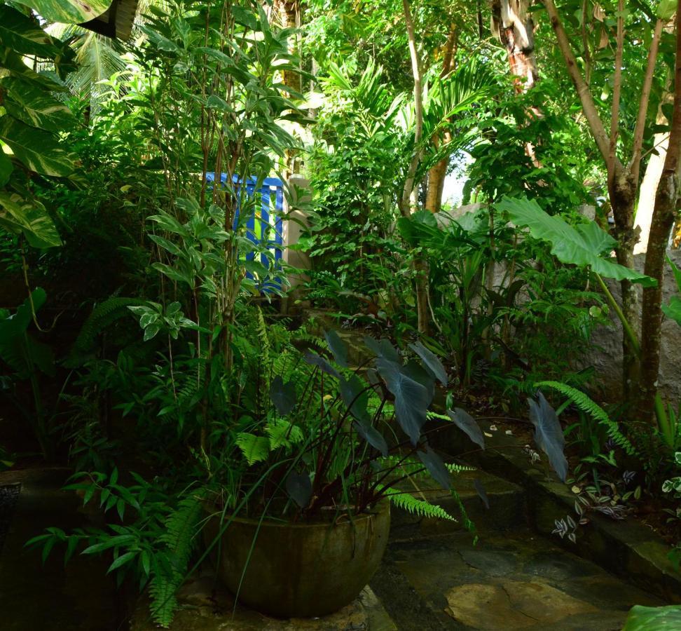 טנגלה View Guesthouse & Bistro At Goyambokka מראה חיצוני תמונה