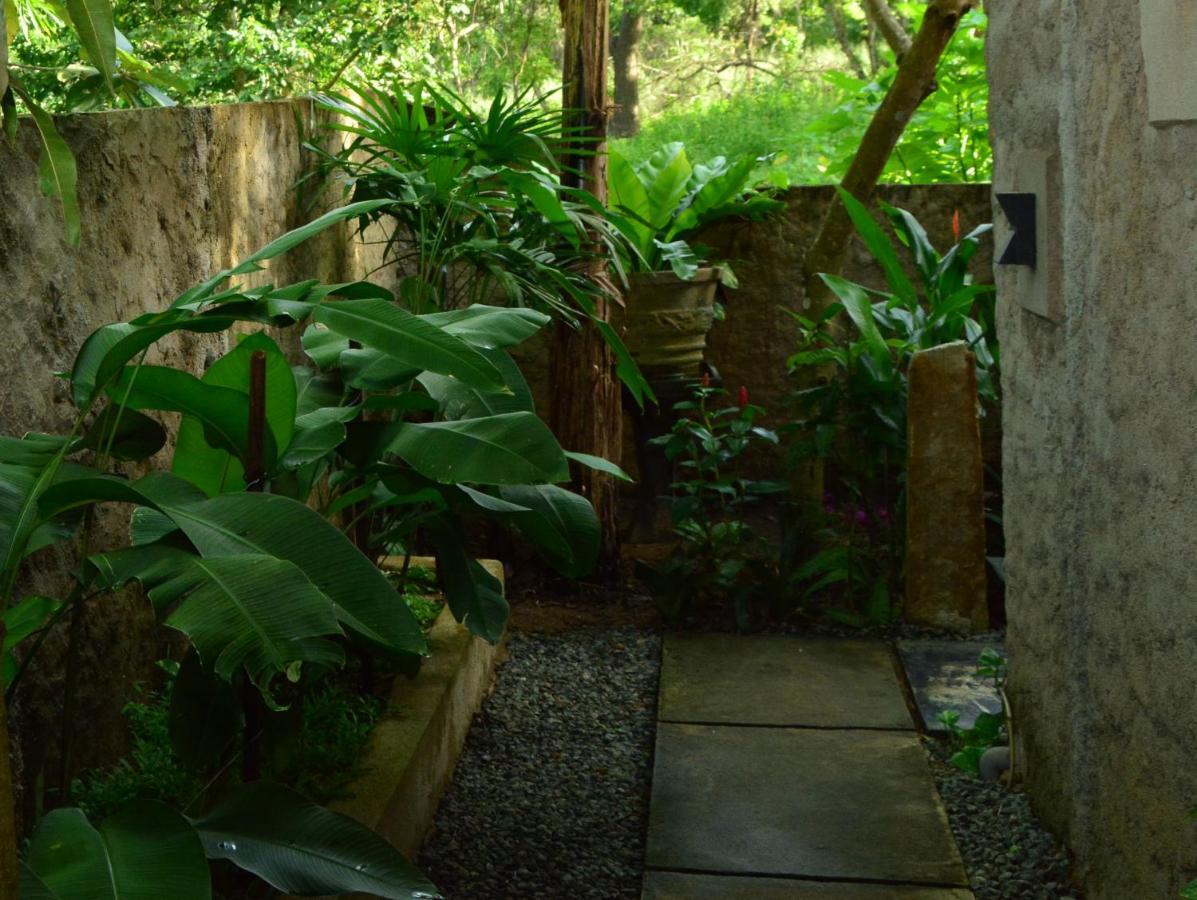 טנגלה View Guesthouse & Bistro At Goyambokka מראה חיצוני תמונה