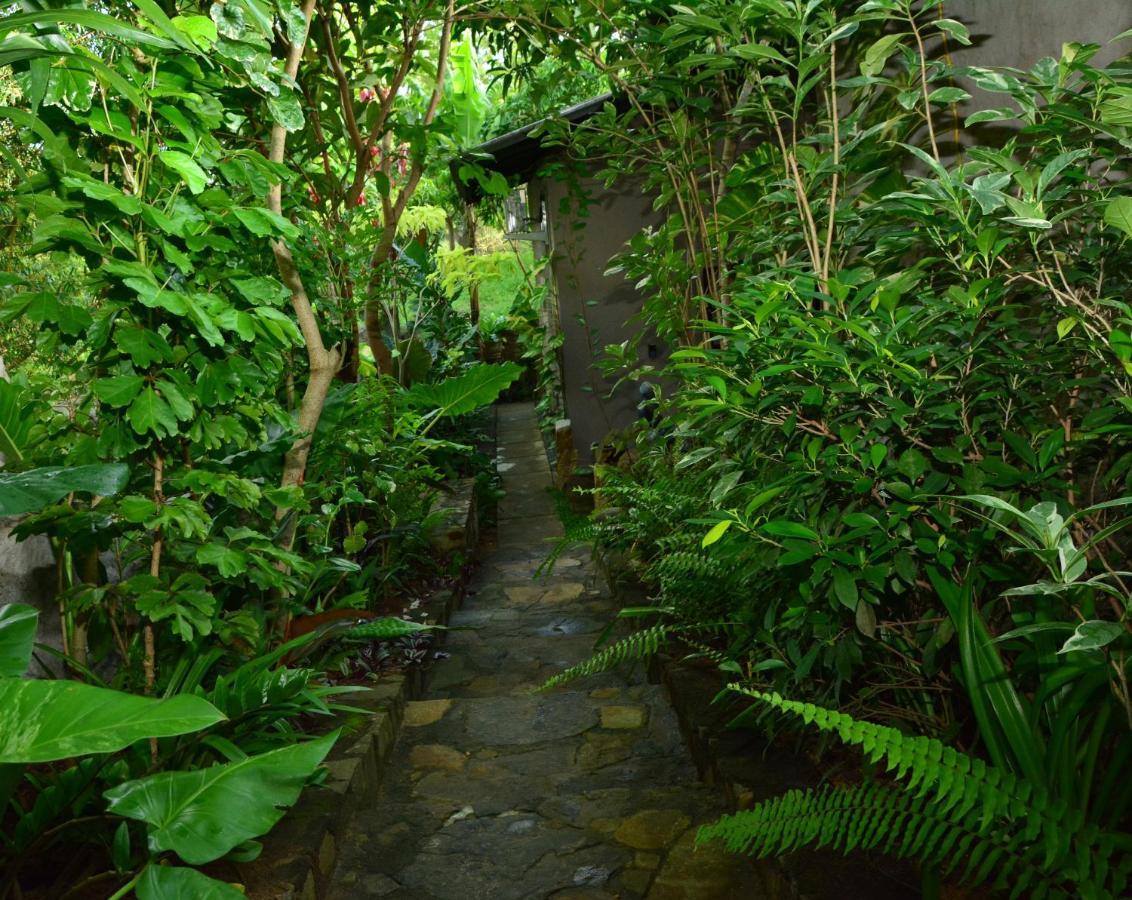 טנגלה View Guesthouse & Bistro At Goyambokka מראה חיצוני תמונה