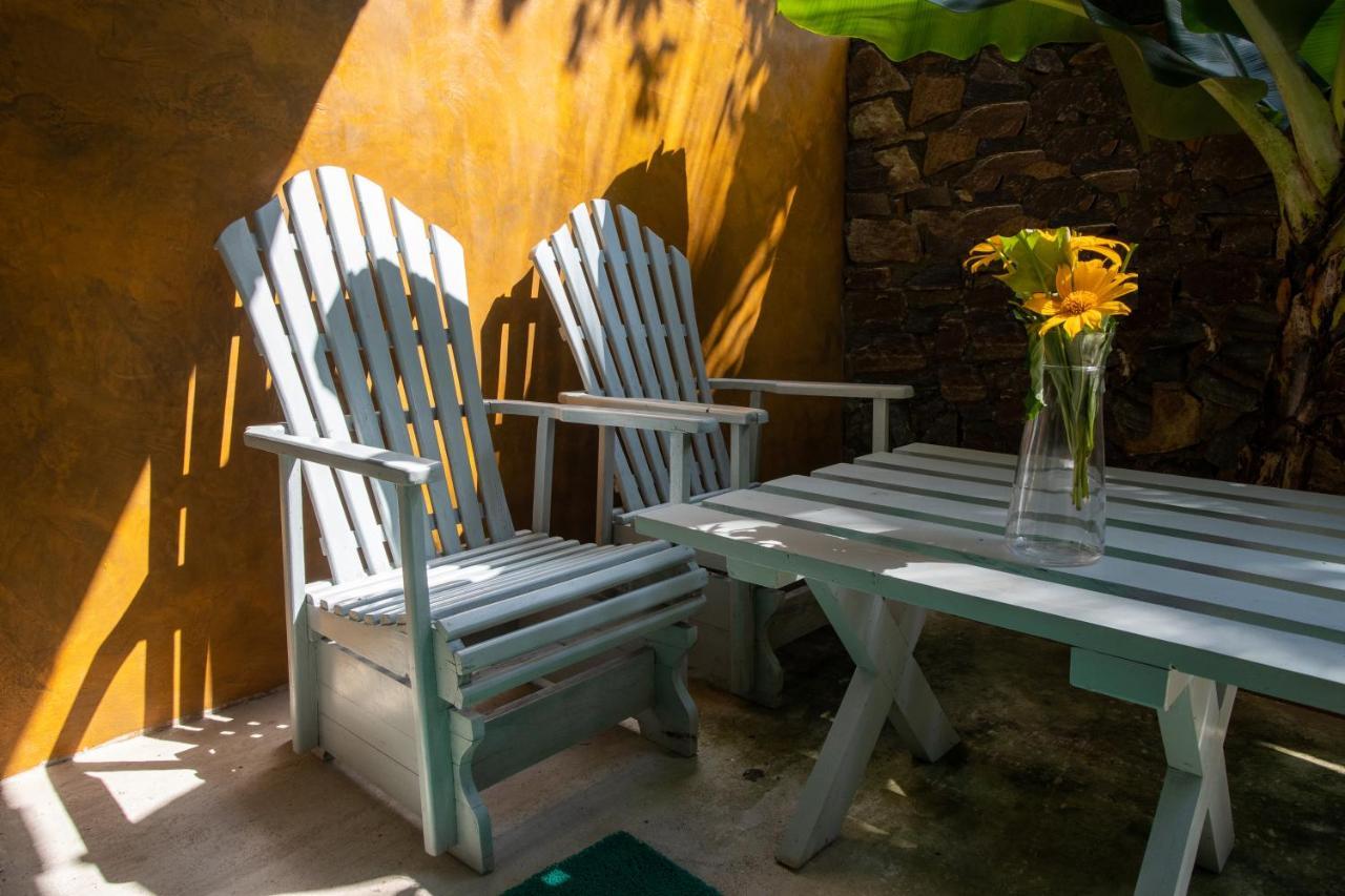 טנגלה View Guesthouse & Bistro At Goyambokka מראה חיצוני תמונה