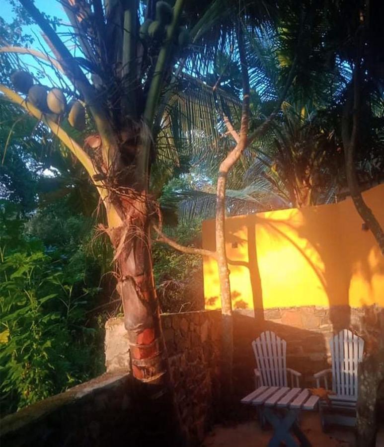 טנגלה View Guesthouse & Bistro At Goyambokka מראה חיצוני תמונה