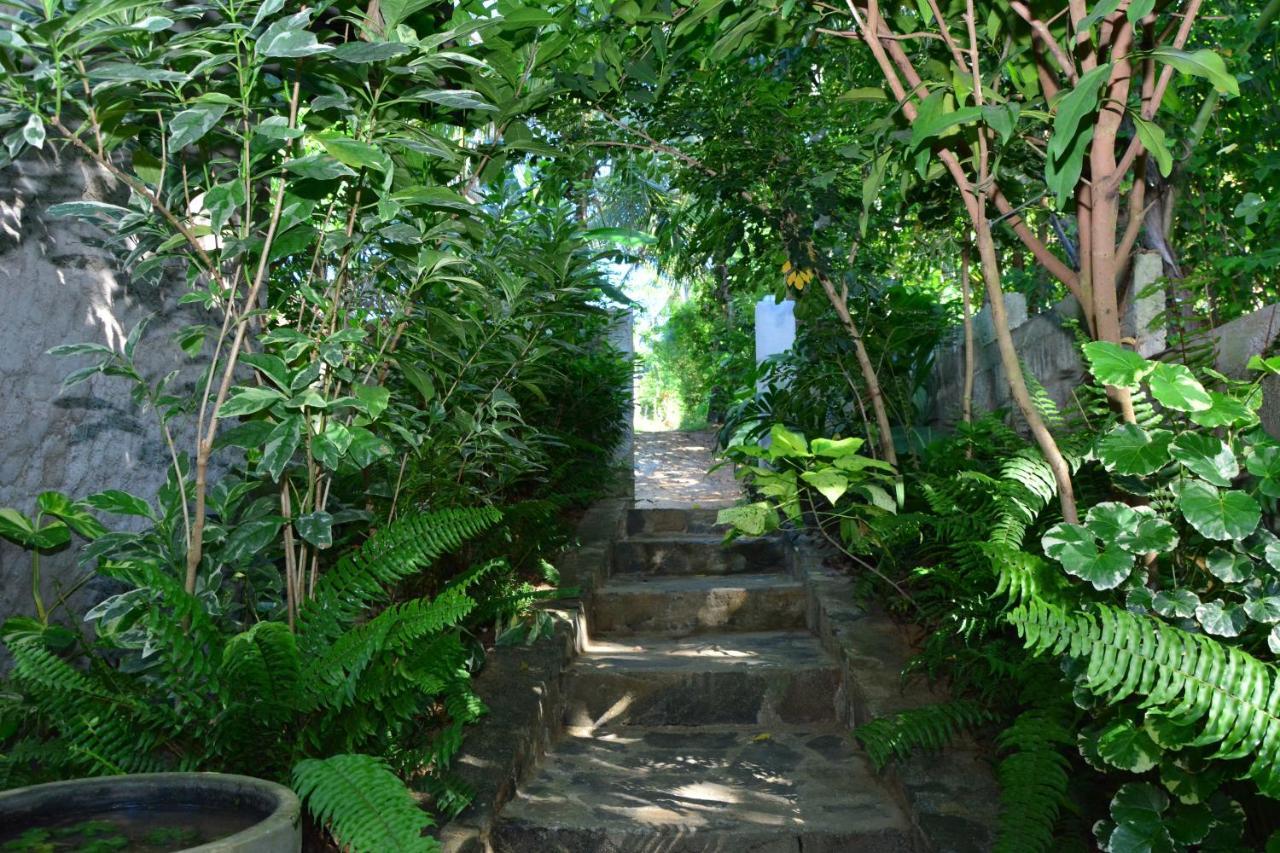 טנגלה View Guesthouse & Bistro At Goyambokka מראה חיצוני תמונה