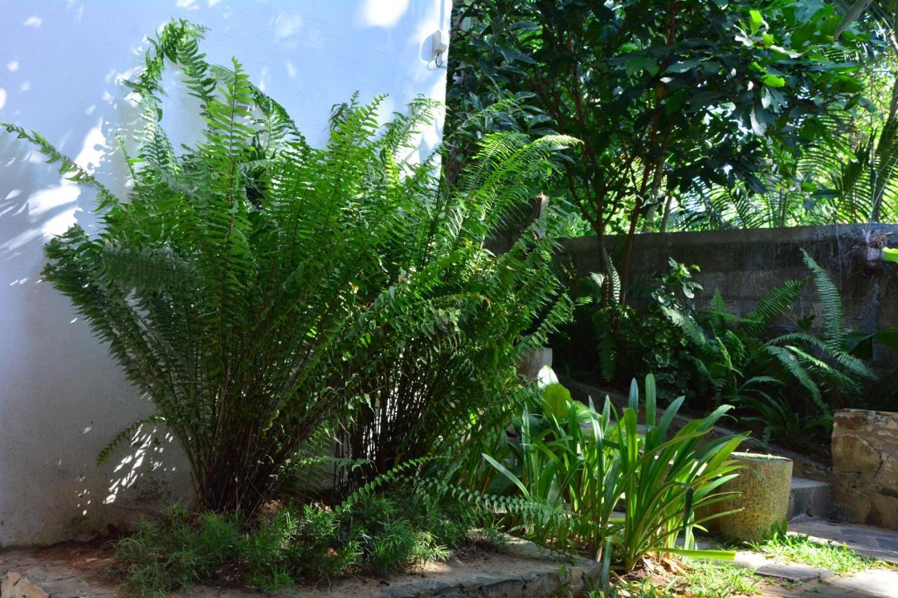 טנגלה View Guesthouse & Bistro At Goyambokka מראה חיצוני תמונה