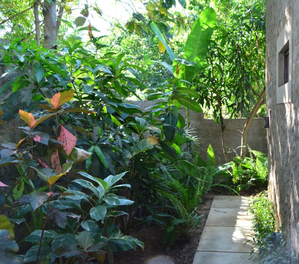 טנגלה View Guesthouse & Bistro At Goyambokka מראה חיצוני תמונה